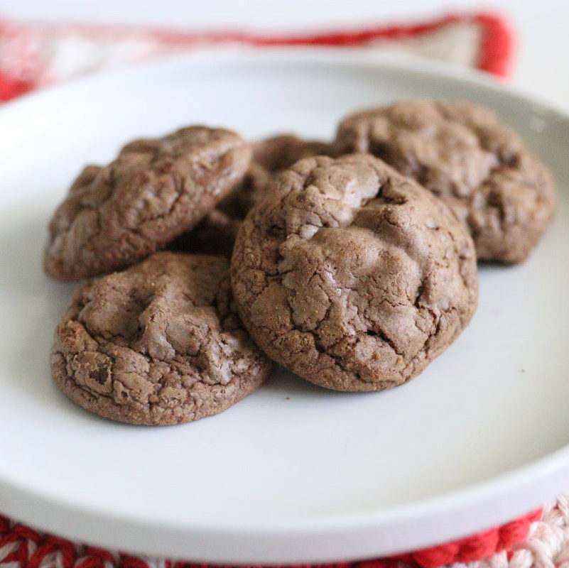 Chewy Chocolate Cookies | Daisy Farm Kitchen