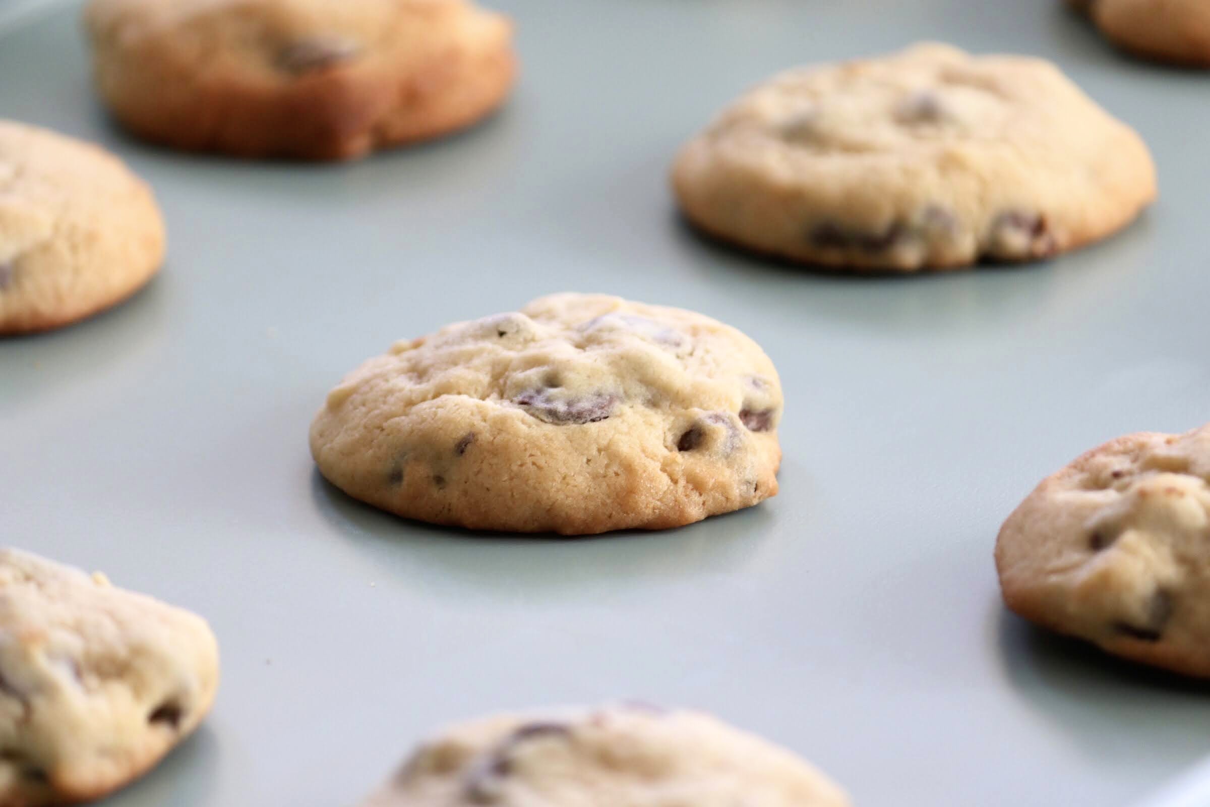 Sour Cream Chocolate Chip Cookies Daisy Farm Kitchen